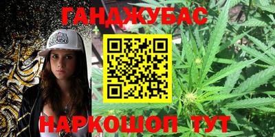 крисы Будённовск
