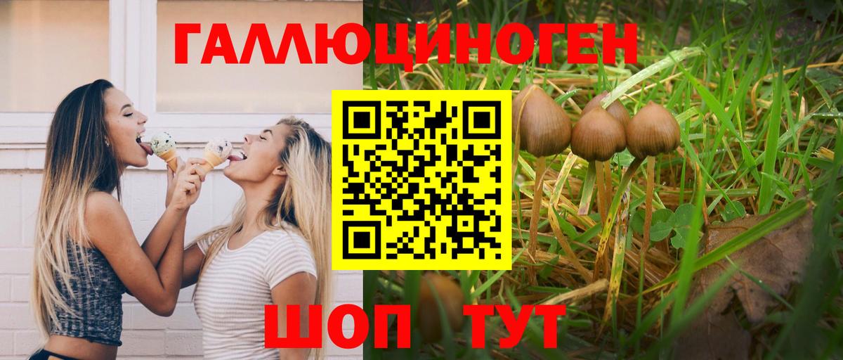 Псилоцибиновые грибы Psilocybe Назрань