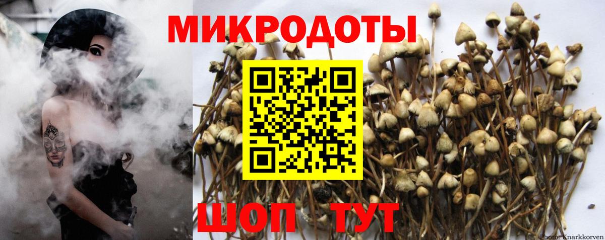 Псилоцибиновые грибы Psilocybine cubensis  Псилоцибиновые грибы Cubensis  Вход с VPN  Назрань 